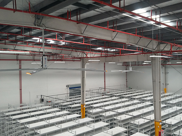 佛山超大吊扇/ 佛山超大吊扇